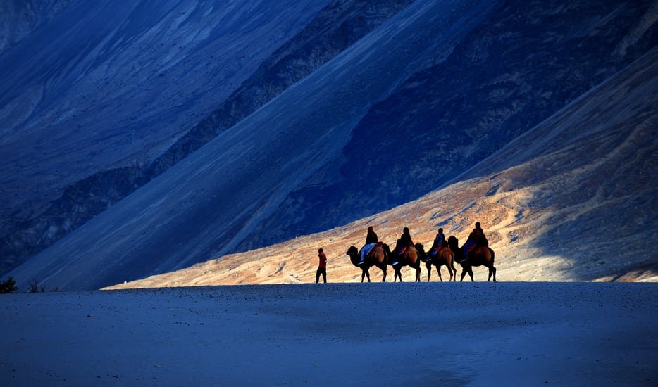 Camel_safari_in_Nubra_Valley