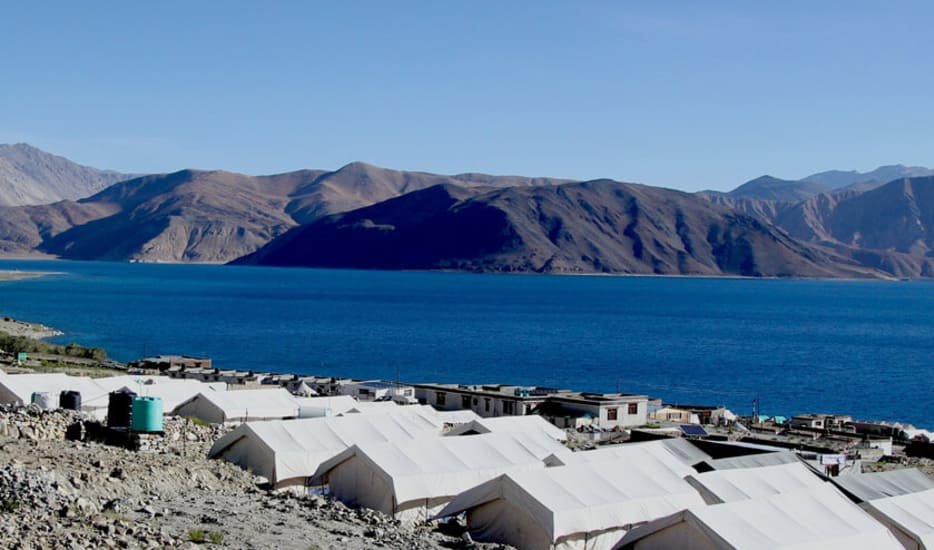 Yak_Camp_Pangong10