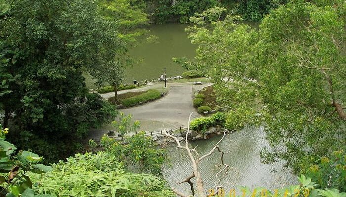 Romantic Places To Visit In Singapore Bukit Batok Town Park