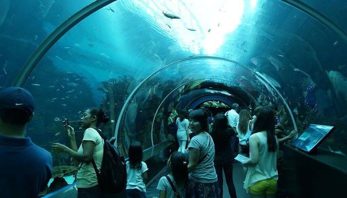 Romantic Places To Visit In Singapore Marine Life Park